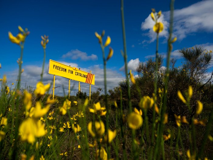 Evanescent landscapes, the yellow revolution